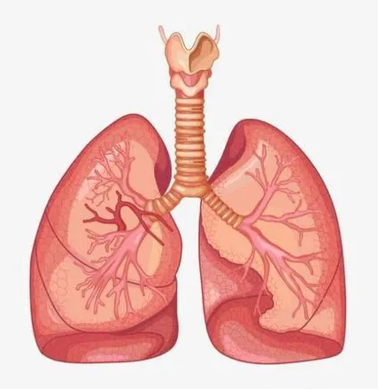 重庆中医肿瘤医馆老中医:你们了解肺癌这种疾病的根源是什么吗