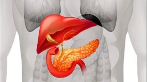 重庆治疗胰腺癌中医医师:这类人更容易引发胰腺癌,要注意