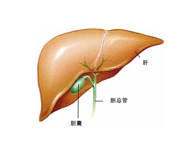 重庆中医肿瘤医师讲解为什么胆囊癌易被误诊