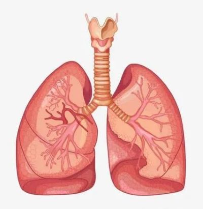 肺鳞癌是不严重的肿瘤疾病?真相其实是这样的